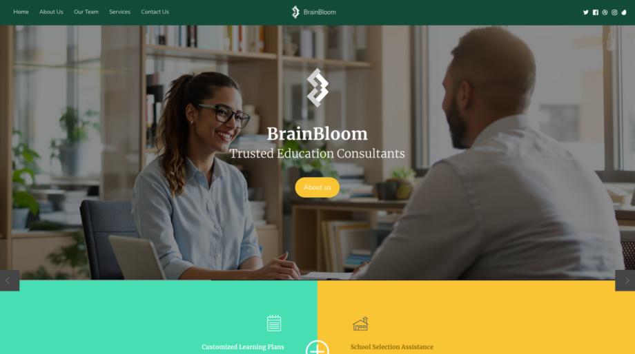 BrainBloom - Educational Support and Consultation Services
