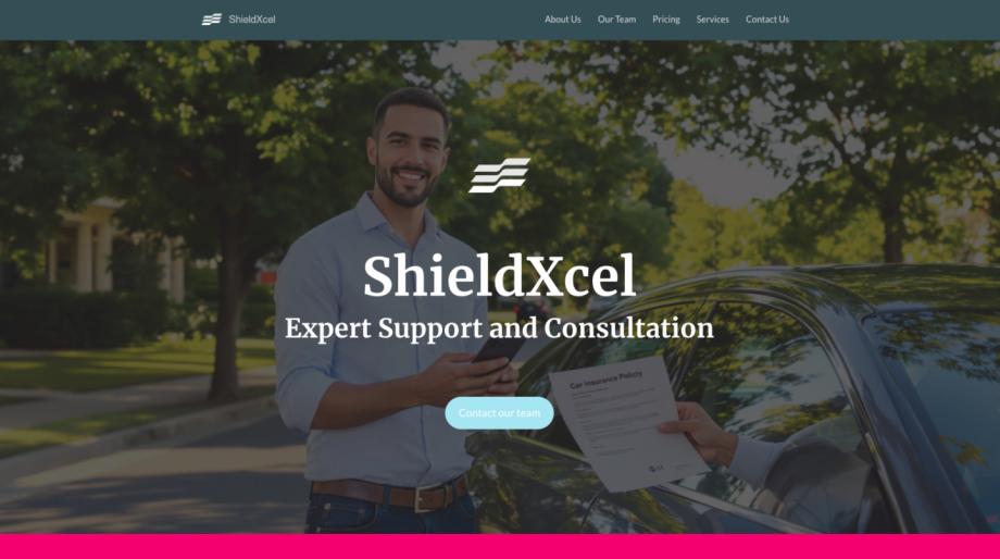 Financial Planning & Insurance - Car Insurance Template