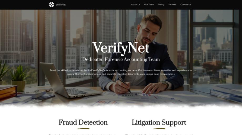 VerifyNet - Forensic Accountant Website Template