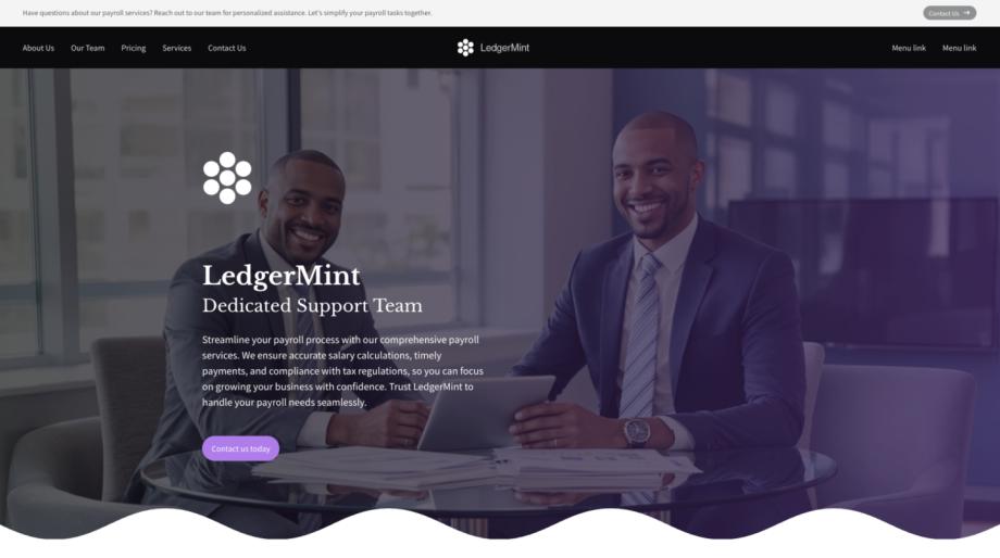 LedgerMint - Streamlined Accounting & Tax Services