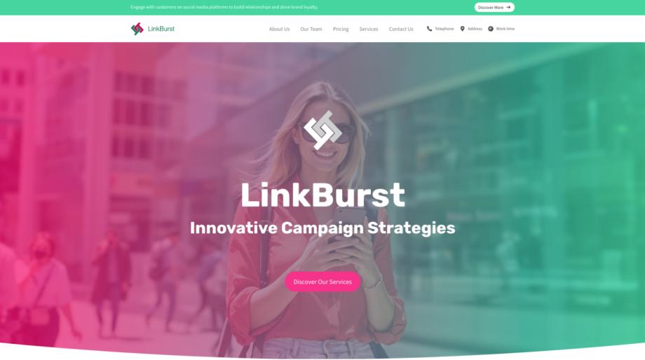LinkBurst - Internet Marketing Website Template