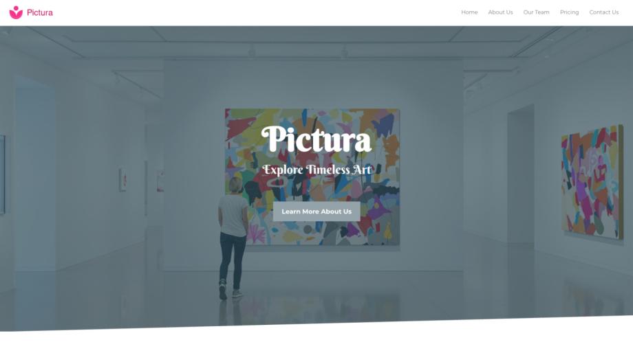 Pictura - Modern Art Museum Website Template