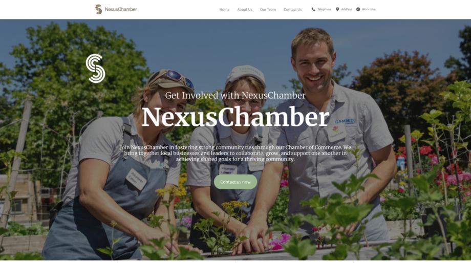 NexusChamber - Modern Chamber of Commerce Template