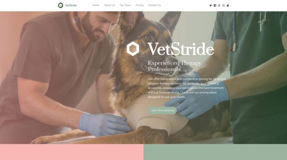 VetStride - Modern Animal Physical Therapist Template