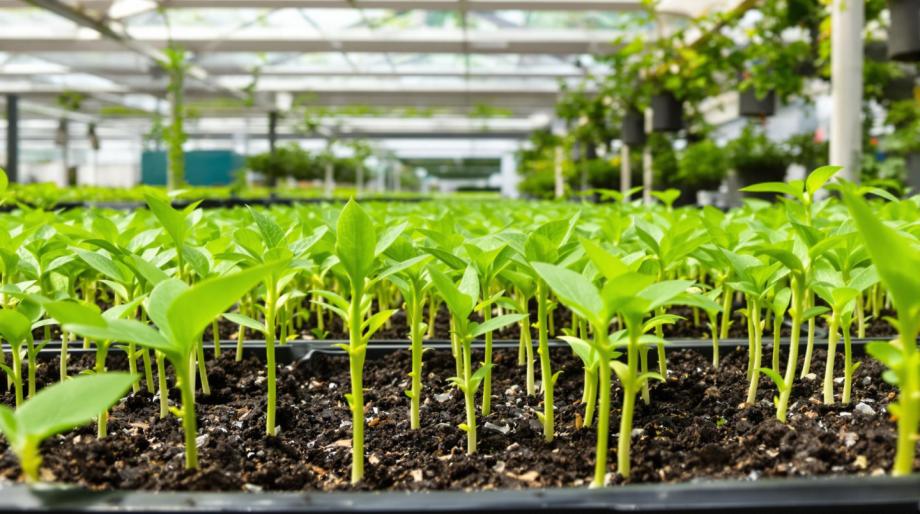 Agricultural & Farming - Example post