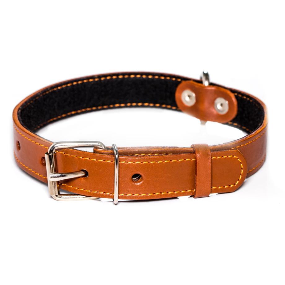 Example Animals product 11